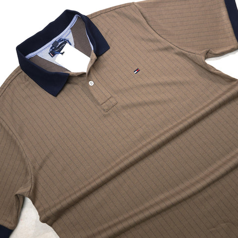 THF tiny striped polo shirt | Brown
